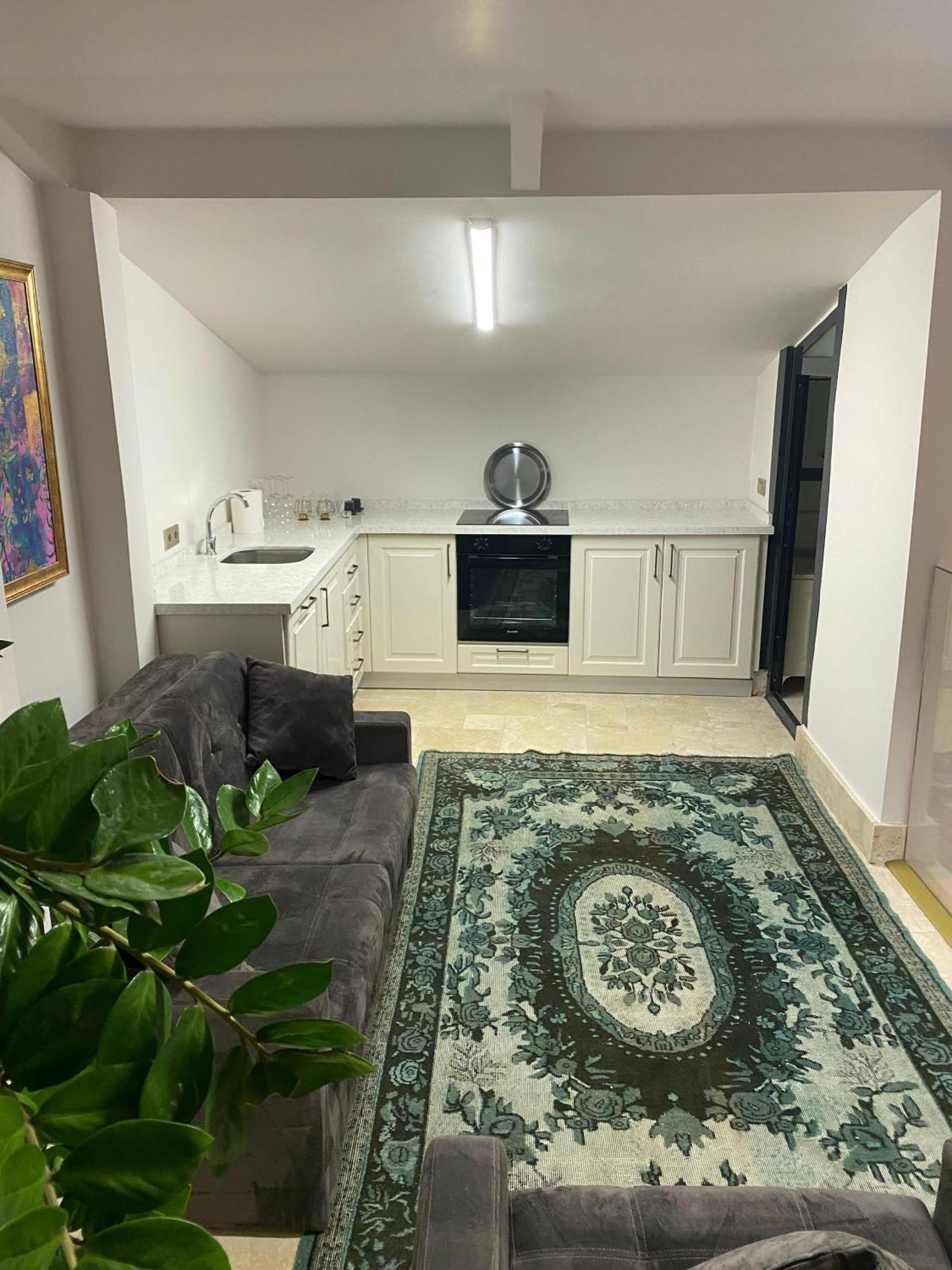 AB Residences- Private Villa Independent Provincia di Provincia di Istanbul Esterno foto
